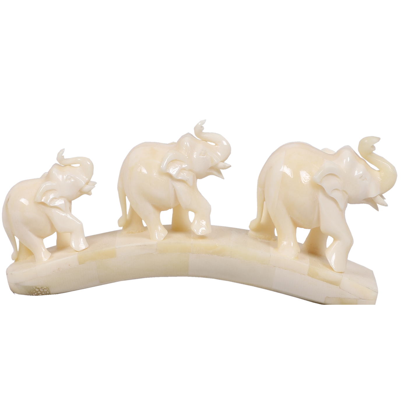 Magnificent Camel Bone Bridge Elephant